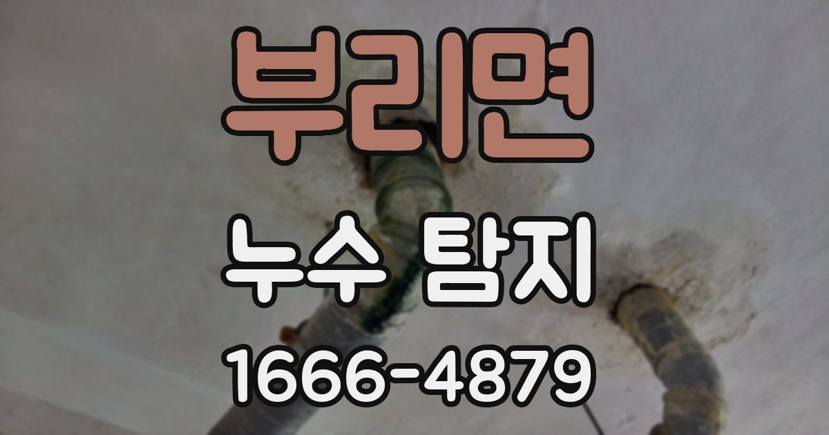 부리면 누수 탐지