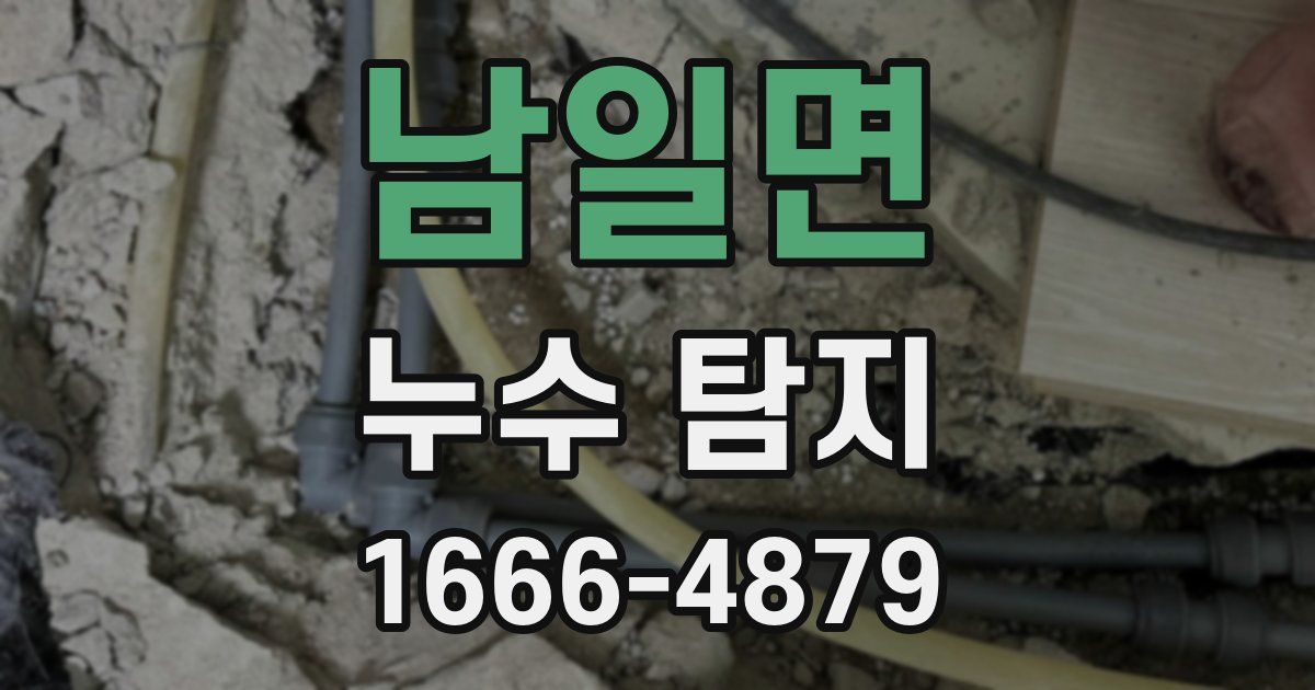 남일면 누수 탐지