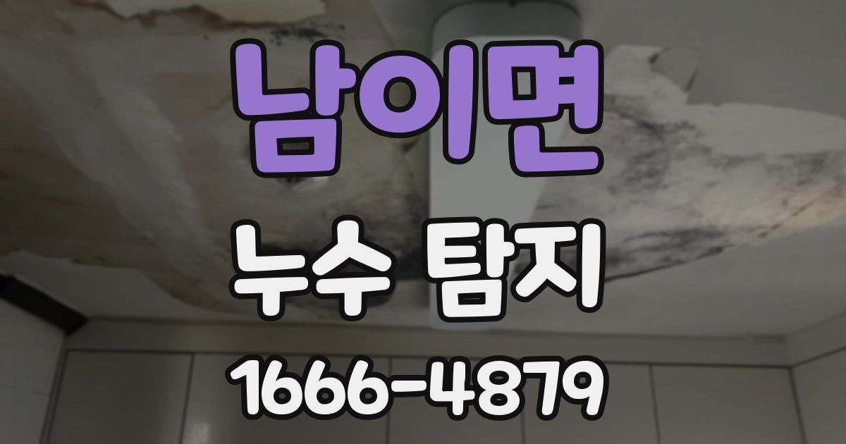 남이면 누수 탐지