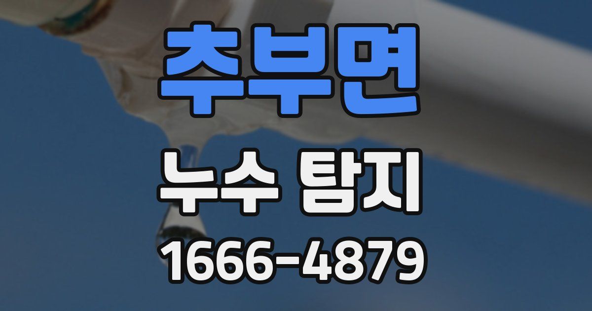 추부면 누수 탐지