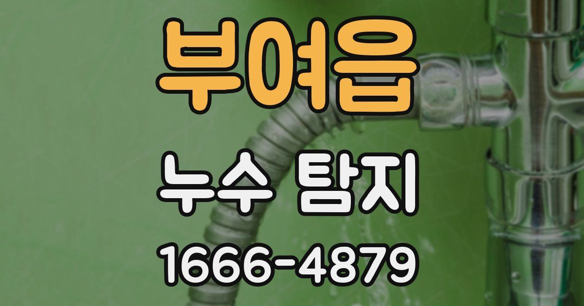 부여읍 누수 탐지