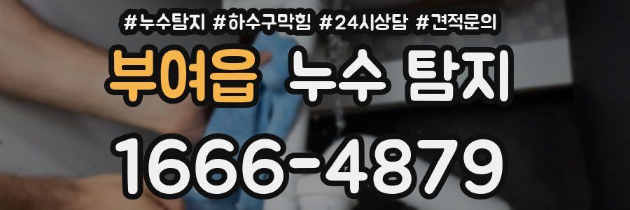 부여읍 누수 탐지
