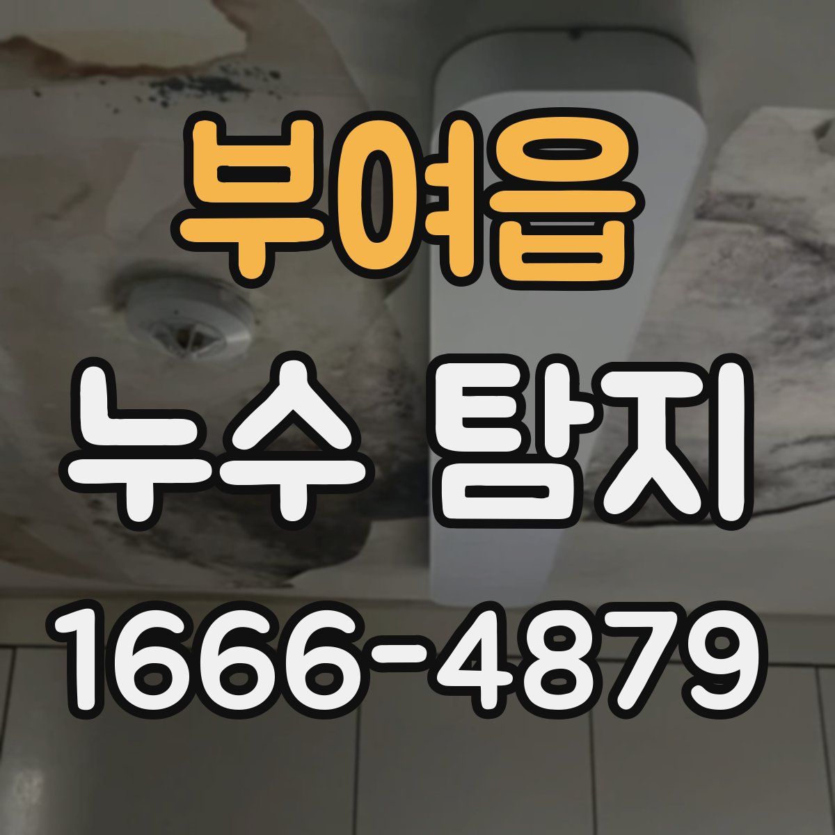 부여읍 누수 탐지