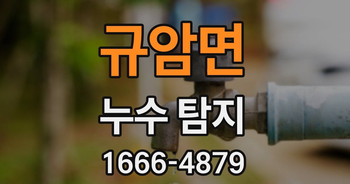 규암면 누수 탐지