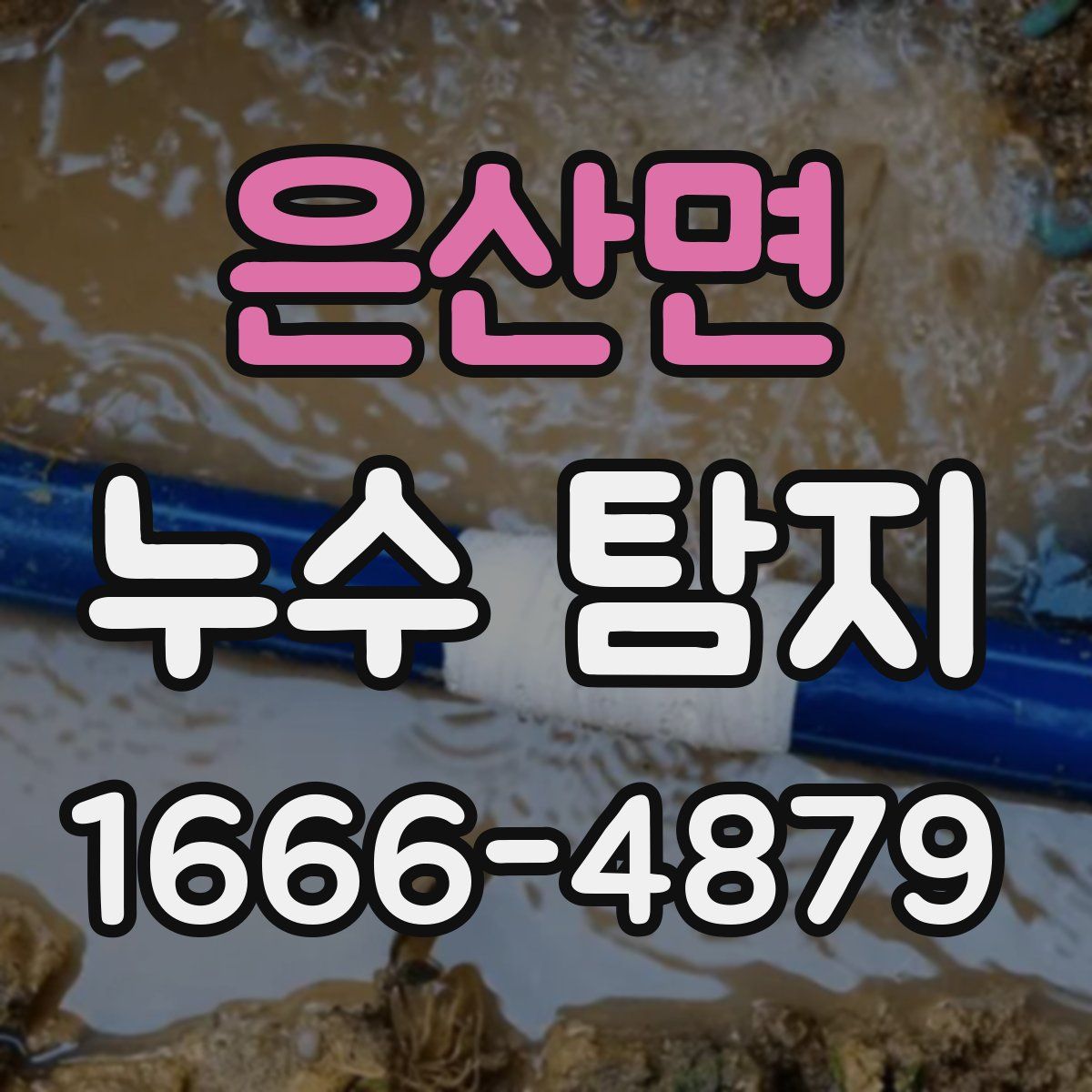 은산면 누수 탐지