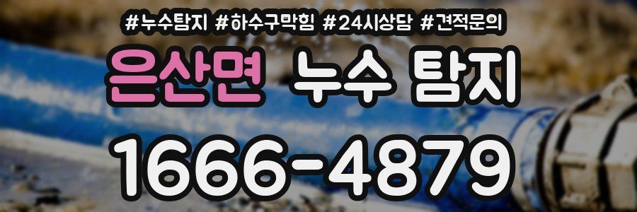 은산면 누수 탐지