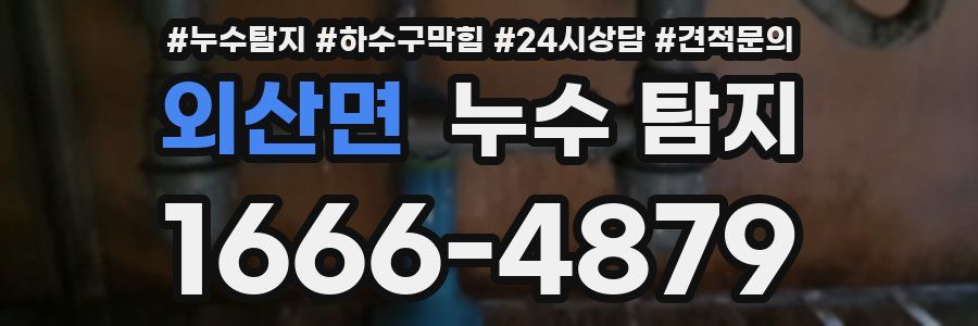 외산면 누수 탐지
