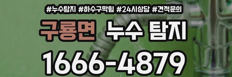 구룡면 누수 탐지