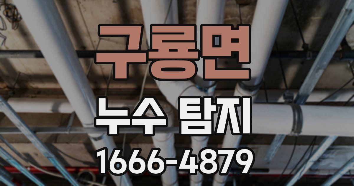 구룡면 누수 탐지