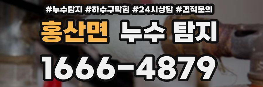 홍산면 누수 탐지
