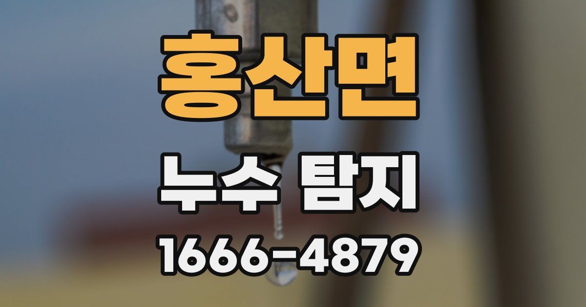 홍산면 누수 탐지