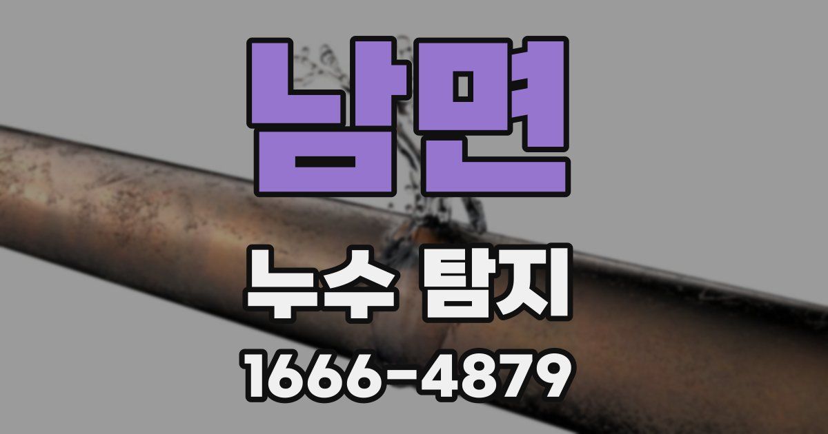 남면 누수 탐지