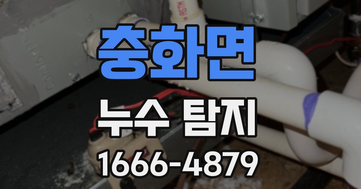 충화면 누수 탐지