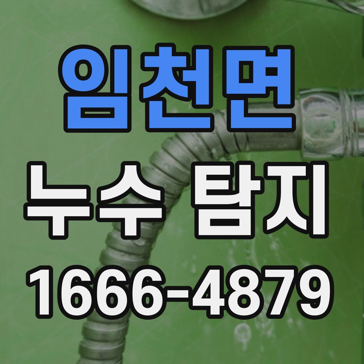 임천면 누수 탐지