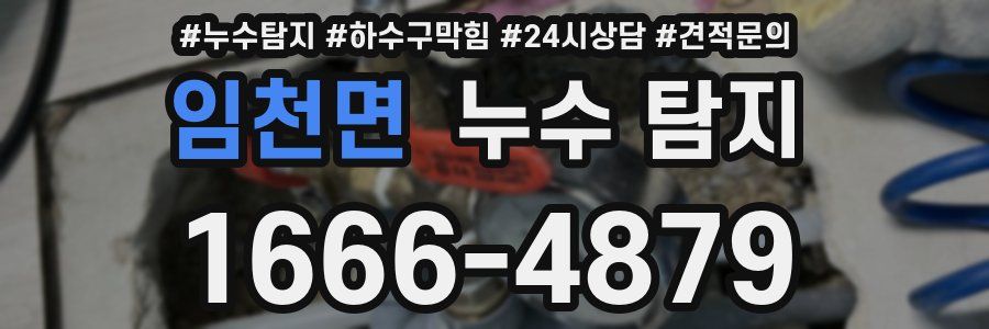 임천면 누수 탐지