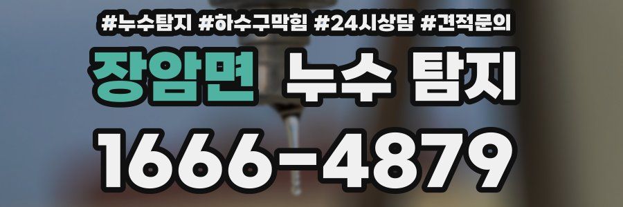 장암면 누수 탐지