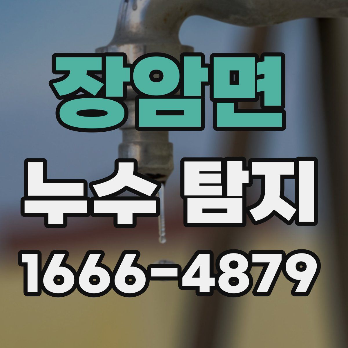 장암면 누수 탐지