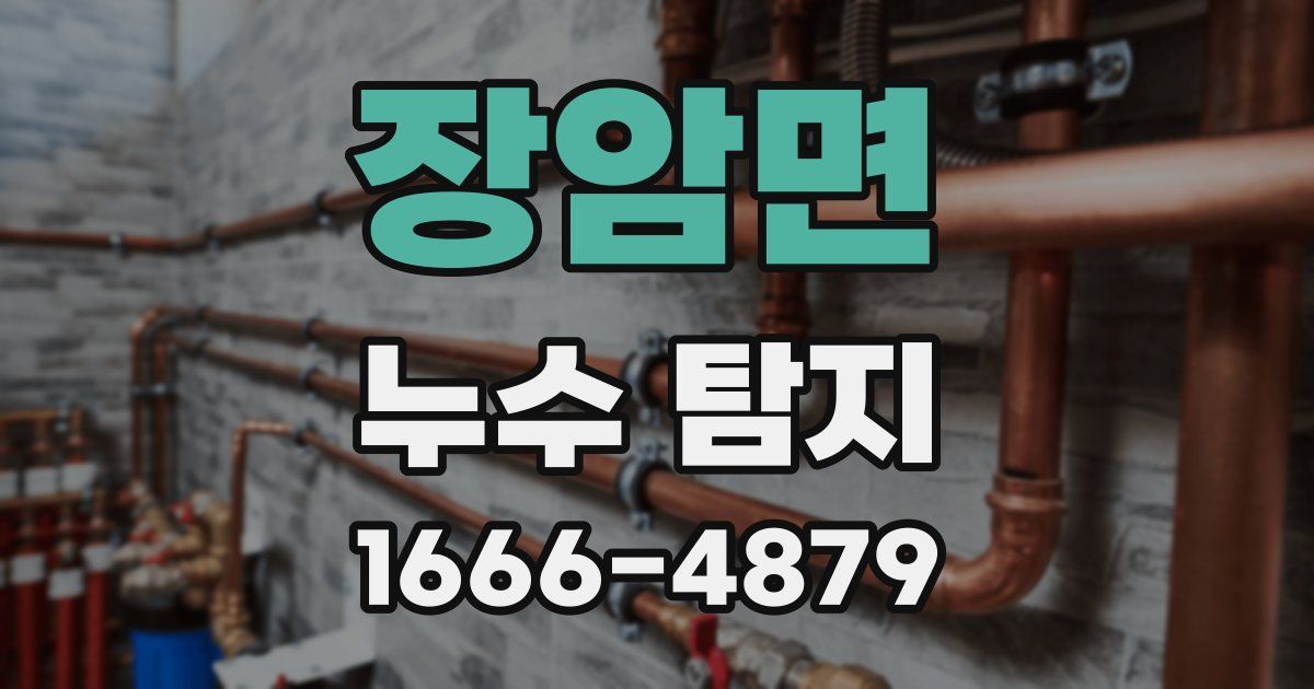 장암면 누수 탐지