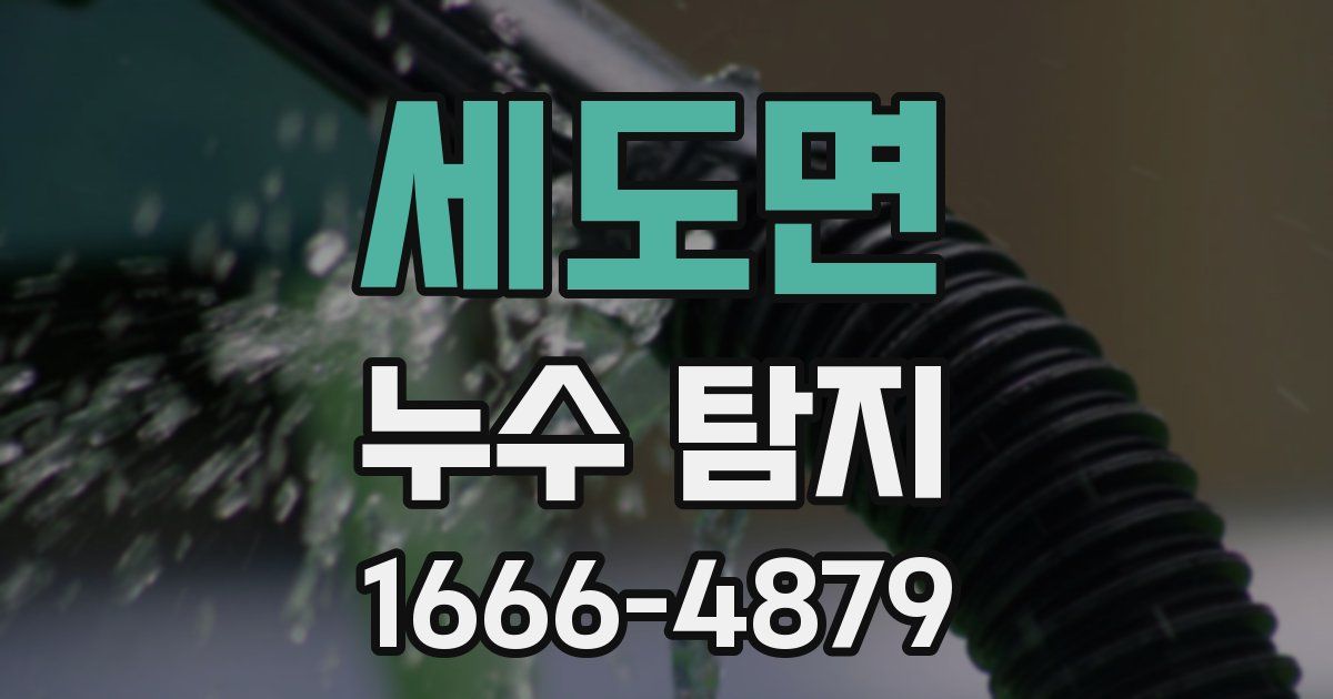 세도면 누수 탐지