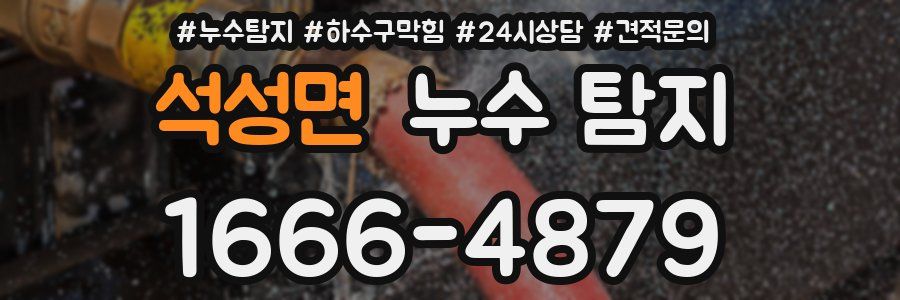 석성면 누수 탐지