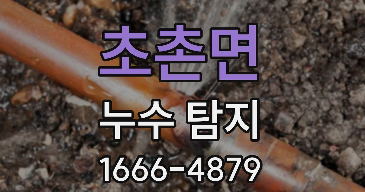 초촌면 누수 탐지
