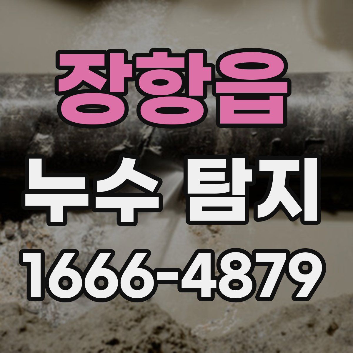 장항읍 누수 탐지