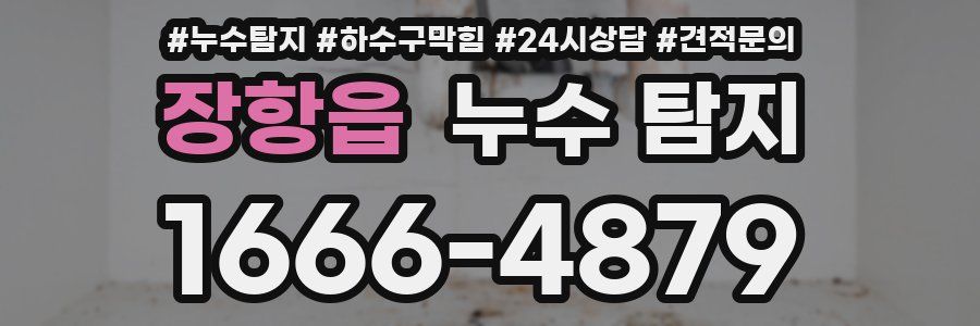 장항읍 누수 탐지