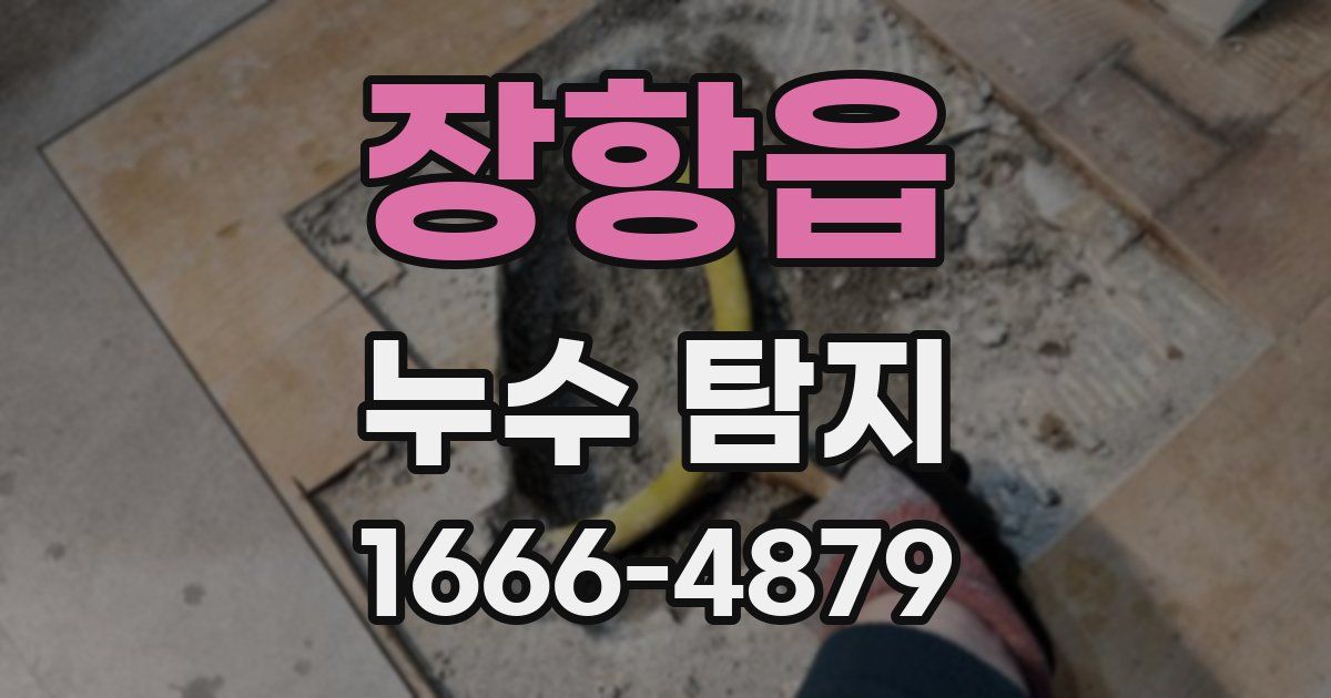 장항읍 누수 탐지