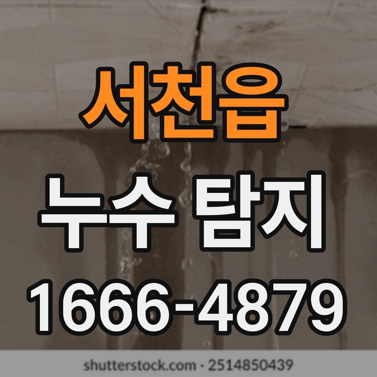 서천읍 누수 탐지 경험담에서 배울 수 있는 점