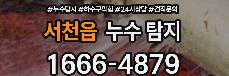 서천읍 누수 탐지