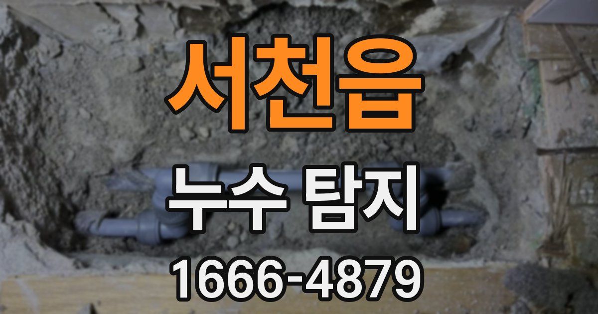 서천읍 누수 탐지
