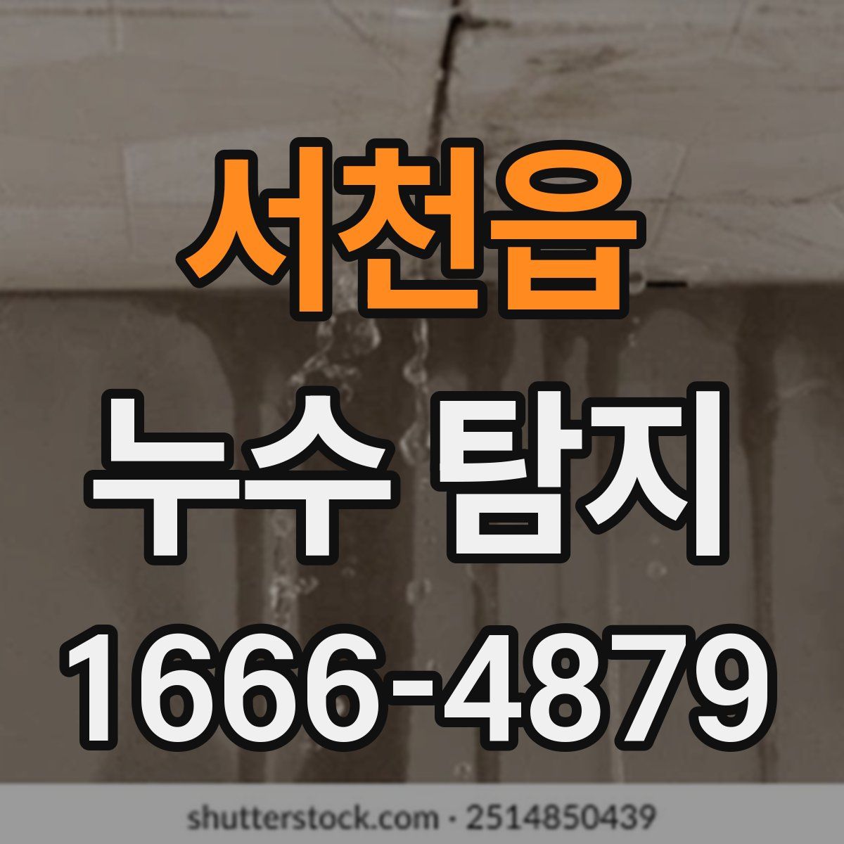 서천읍 누수 탐지