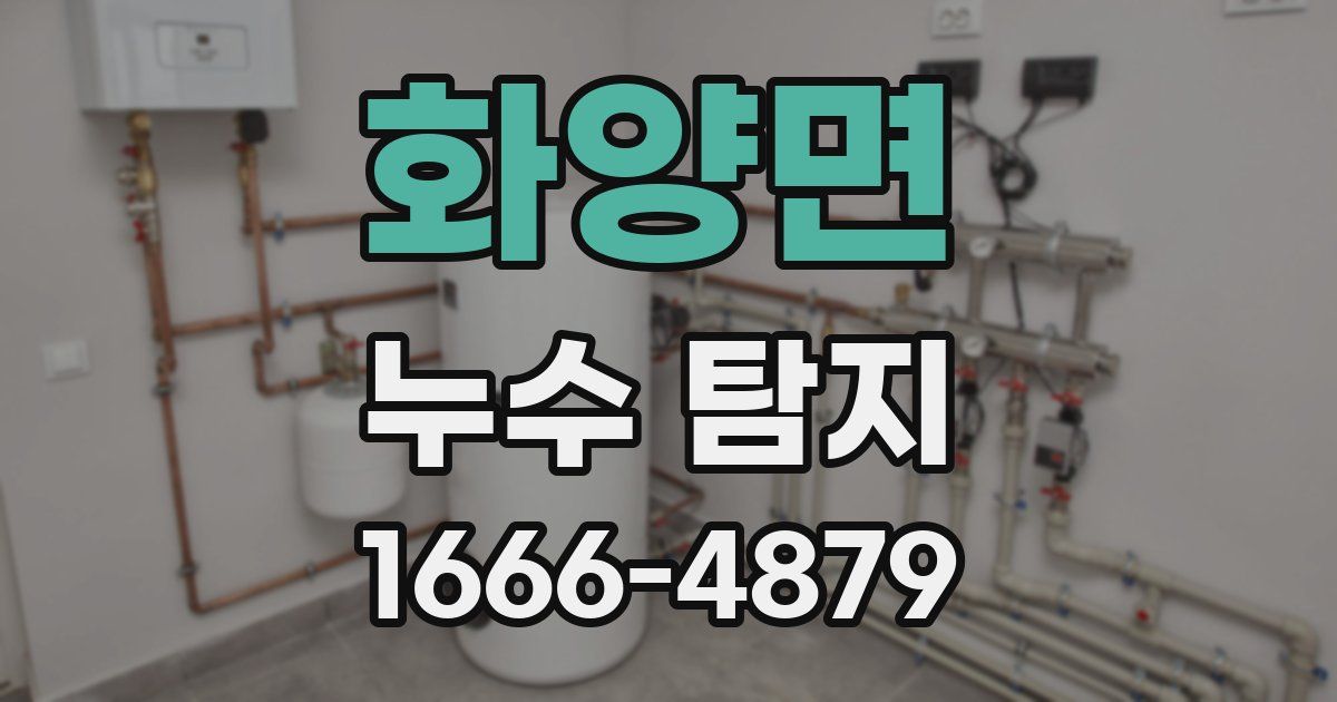 화양면 누수 탐지