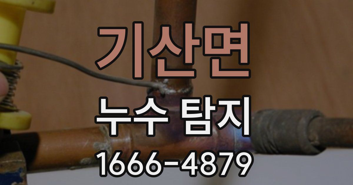 기산면 누수 탐지