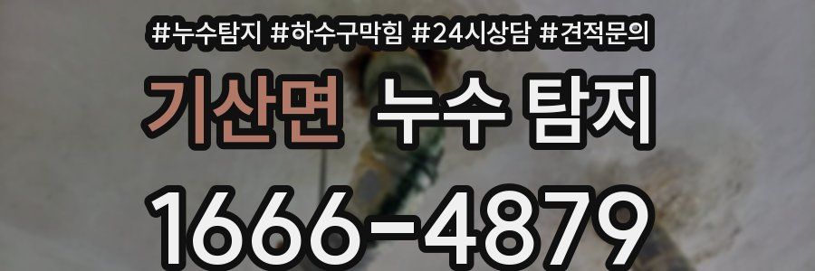 기산면 누수 탐지