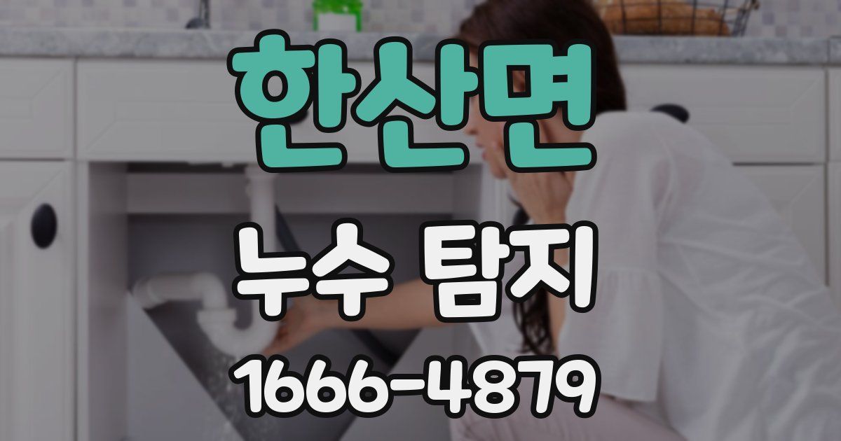 한산면 누수 탐지