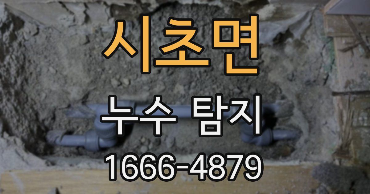 시초면 누수 탐지