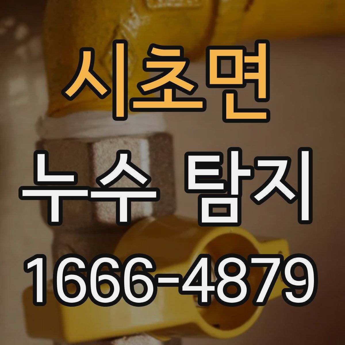 시초면 누수 탐지