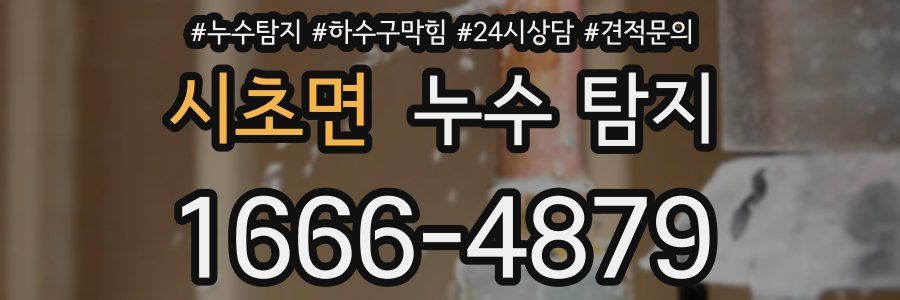 시초면 누수 탐지