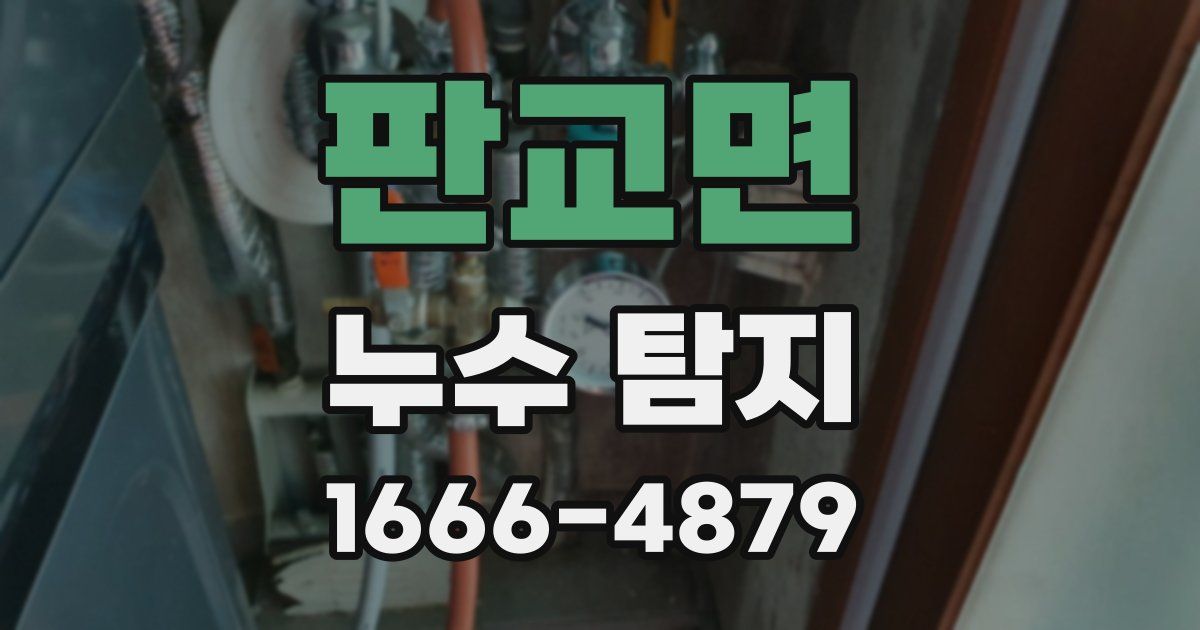 판교면 누수 탐지