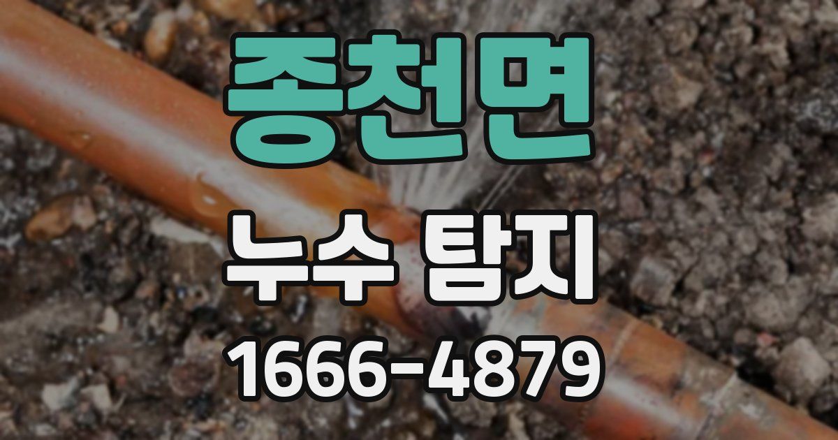 종천면 누수 탐지