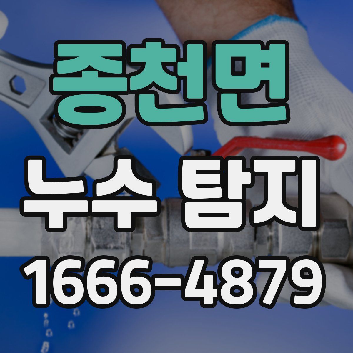 종천면 누수 탐지