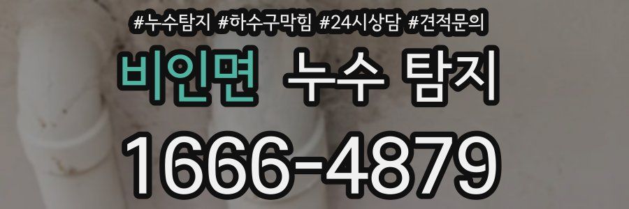 비인면 누수 탐지
