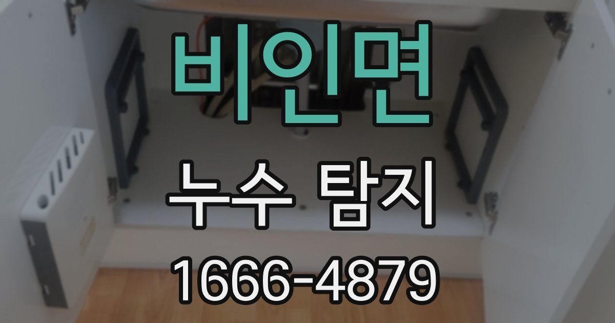비인면 누수 탐지