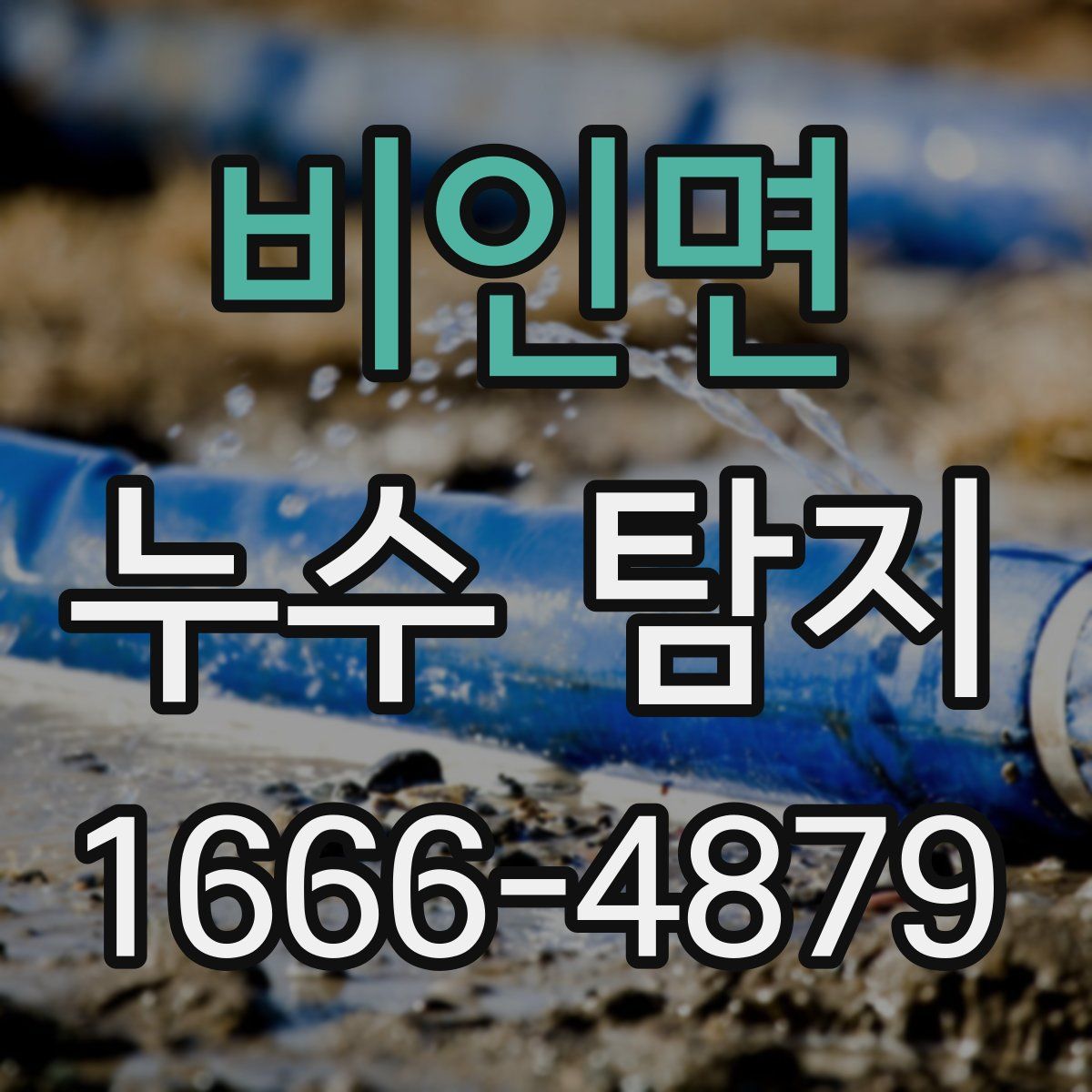 비인면 누수 탐지