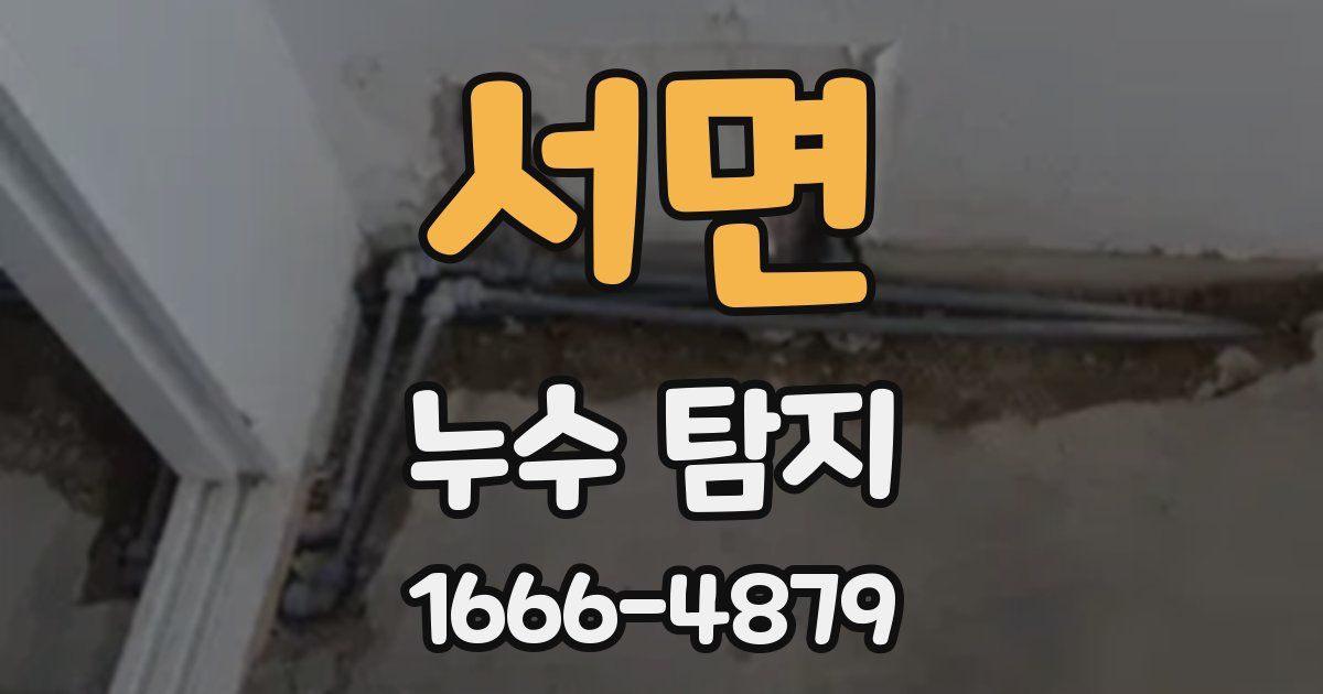 서면 누수 탐지