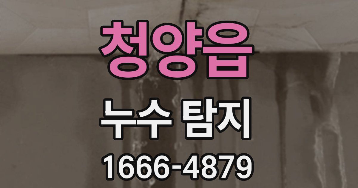 청양읍 누수 탐지