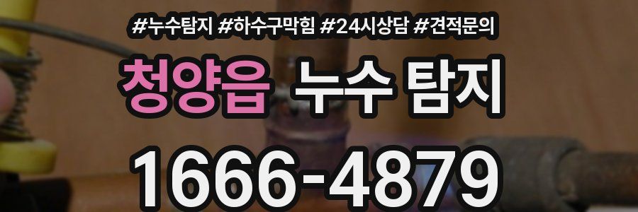 청양읍 누수 탐지