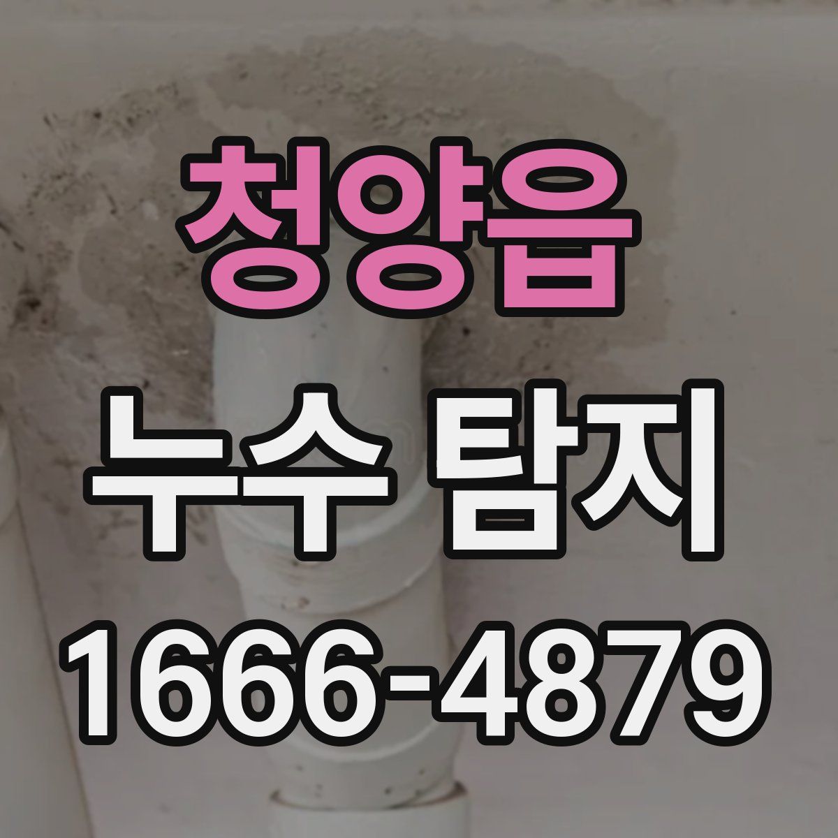 청양읍 누수 탐지