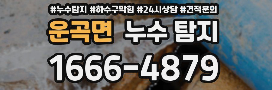 운곡면 누수 탐지
